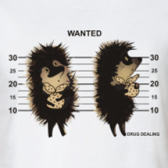 240z240_front_42_0_0_0_9ac0f7220c6c8e2ec