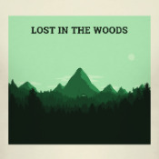 lost in the woods lost in the woods