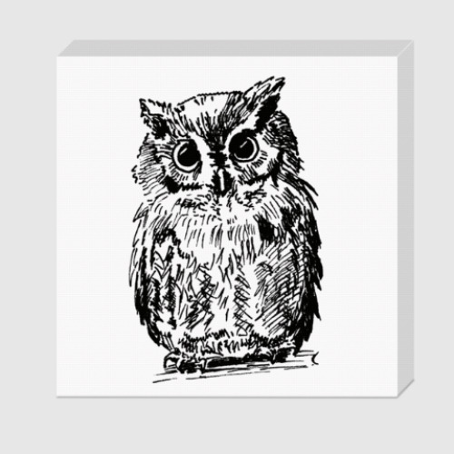 Холст с принтом Сова