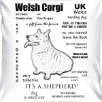 Corgi. FAQ