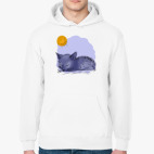 Толстовка худи