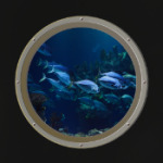 Вид из иллюминатора подводной