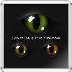  'Я вижу вас насквозь'