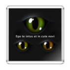 Магнит 6.5 x 6.5 см  &#039;Я вижу вас насквозь&#039;