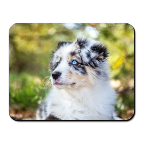 Коврик для мыши с принтом Аусси