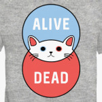 Кот Шрёдингера