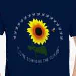 Подсолнух Подсолнечник Helianthus - Цветок солнца