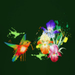 Ирисы и колибри