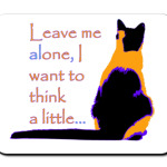 я хочу немного подумать…