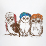 Совы. Совушки. Owl. Owls.