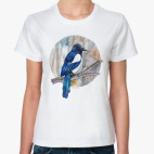 птица сорока