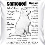 FAQ.Samoyed