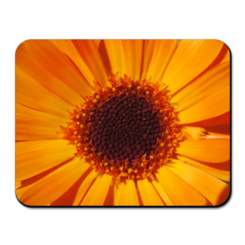 Коврик для мыши с принтом цветы