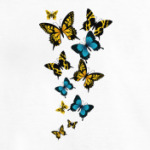 Полёт бабочки