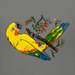 Попугай на ветке