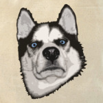 Суровый Хаски