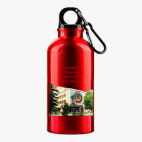 Металлическая бутылка 400 мл UV-DTF