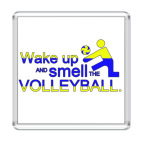 Smell the Volleyball