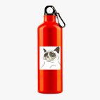 Металлическая бутылка 700 мл UV-DTF