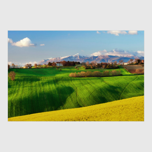 Постер с принтом Как прекрасен этот мир