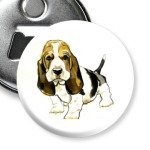  Бассет-хаунд