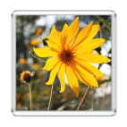 Солнечный цветок