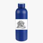 Термобутылка