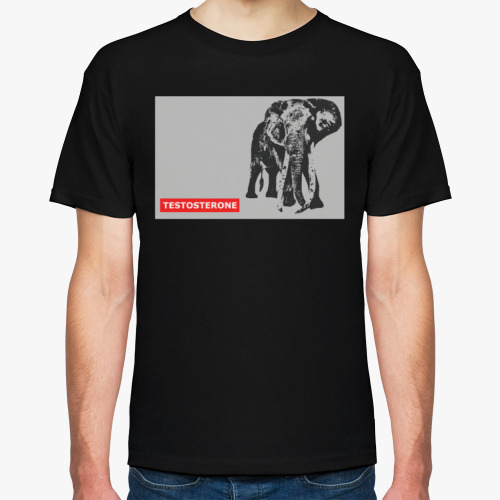 Футболка с принтом ТЕСТОСТЕРОН