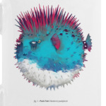 Брутальная рыба панк Punk fish