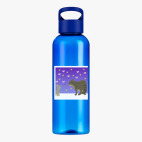 Прозрачная спортивная бутылка