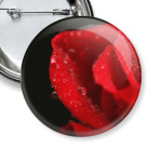 Романтичная роза