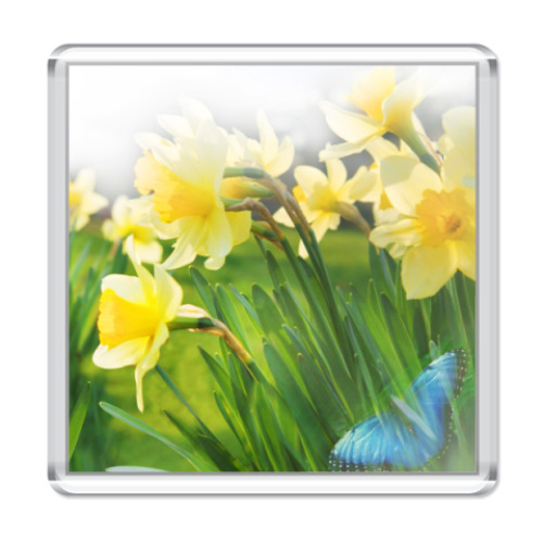 Магнит ПОЛЕ