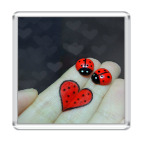 Божьи коровки