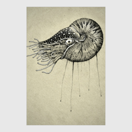 Постер Nautilus