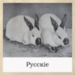 Ретро, винтаж начало ХХ века