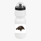 Велобутылка