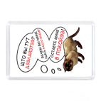 Странный кот