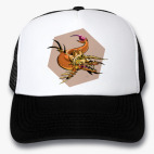 Кепки Trucker