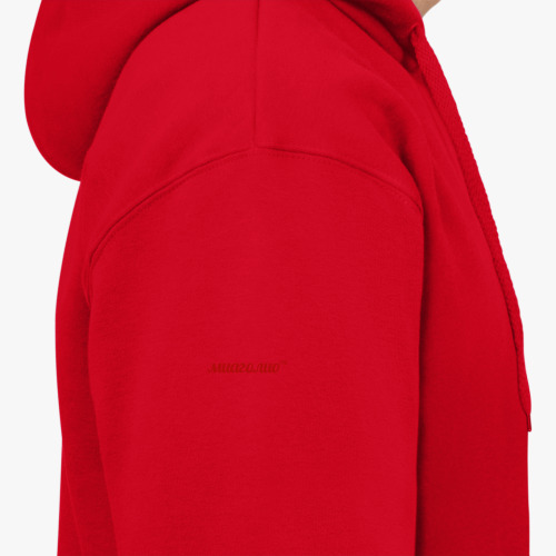 Толстовка худи с принтом  glazakowki