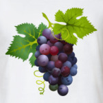 Виноград