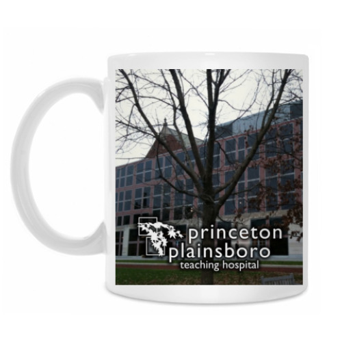 Кружка с принтом Princeton plainsboro
