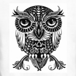 Совы. Совушки. Owl. Owls.