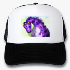 Кепки Trucker