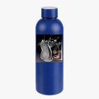 Термобутылка