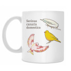 Кружка 330 мл