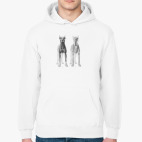 Толстовка худи