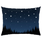 Ночное небо