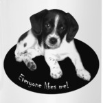 Милый пёсик. Everyone likes me.