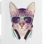 Cool Cat