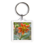 Чудо природы